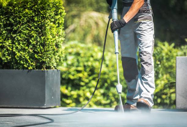 Best Solar Panel Cleaning  in Deerwood, TX