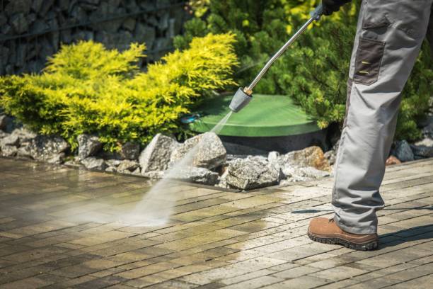 Best Animal Enclosure Cleaning  in Deerwood, TX